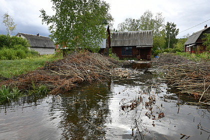 Многоквартирный дом в российском регионе смыло дождем