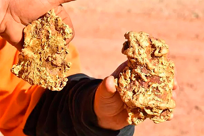 Мужчины нашли два гигантских золотых самородка весом 3,5 килограмма