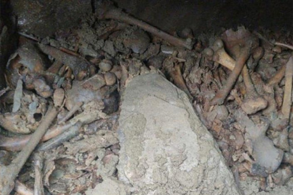 Россиянин затеял ремонт в доме и нашел скелеты