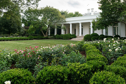 Жена Трампа превратила розарий Белого дома в «кладбище»
