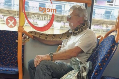 Мужчина надел живую змею как защитную маску и удивил пассажиров
