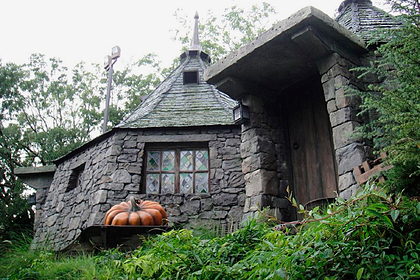 Известный певец построил в своем саду копию дома из «Гарри Поттера»